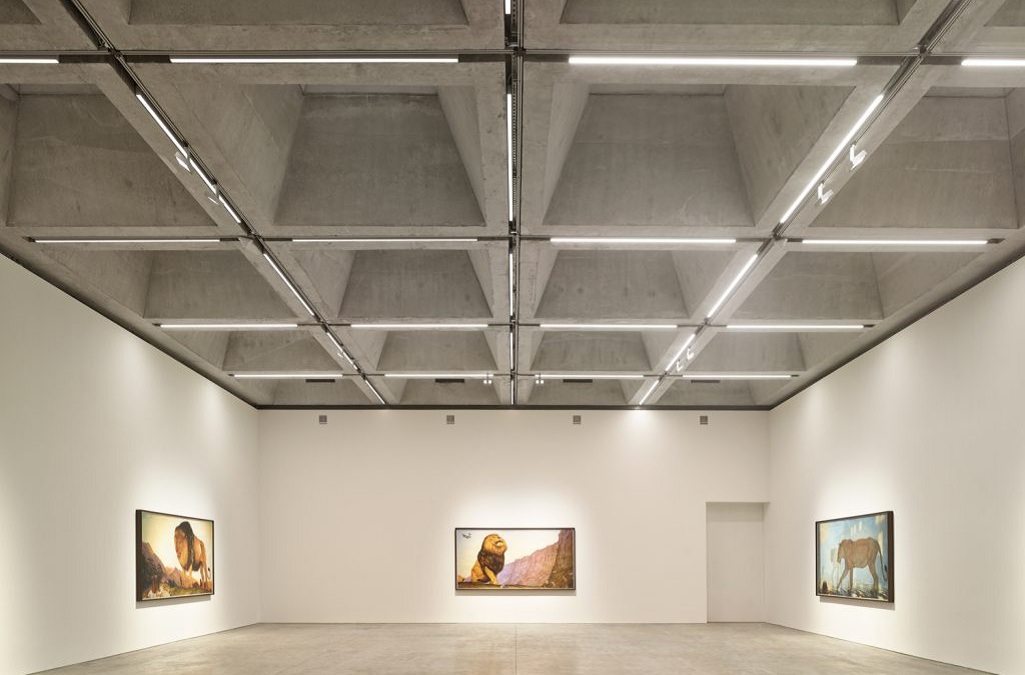 Linear light-Gallery