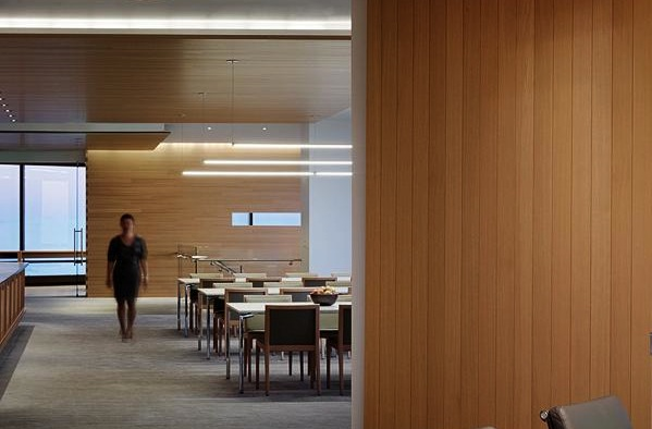 Linear light-restaurant