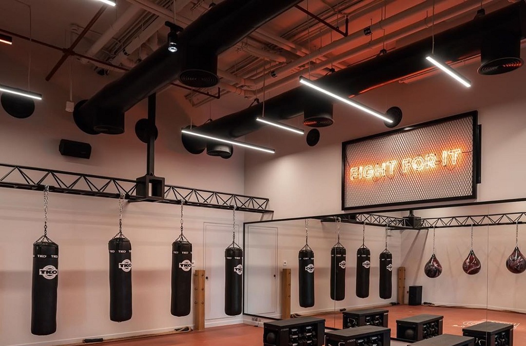 Linear light-Gym